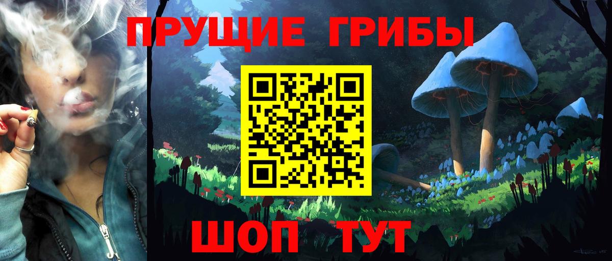 Семилуки  Псилоцибиновые грибы Cubensis  дарнет шоп  Вход с VPN 